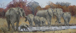 Elephants at the Waterhole - Kruger Park | 2014 | Oil on Canvas | 40 X 67 cm